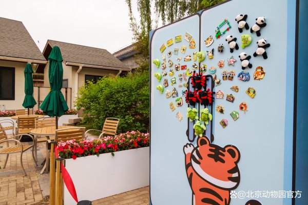 牛策略 潮玩北动丨五一市集全揭秘！