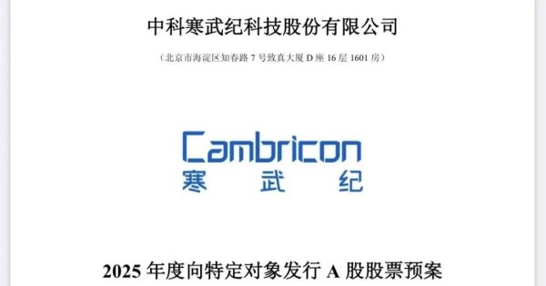 冠达配资 2900亿巨头突发！拟募资近50亿元，加码投资大模型芯片平台！