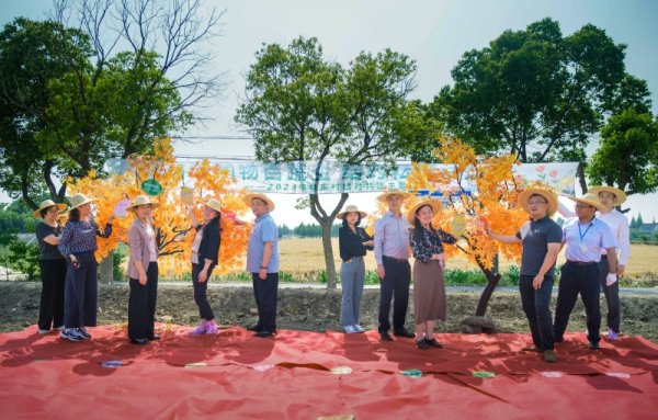 恒盈策略 沪郊吕巷镇党建“朋友圈”扩圈发力，107个公益项目提升百姓获得感