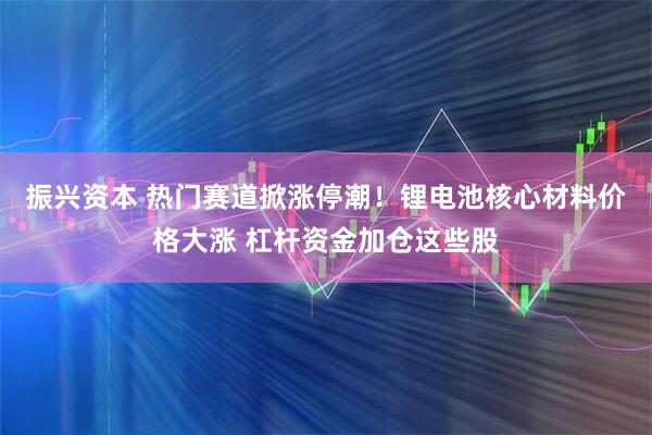 振兴资本 热门赛道掀涨停潮！锂电池核心材料价格大涨 杠杆资金加仓这些股